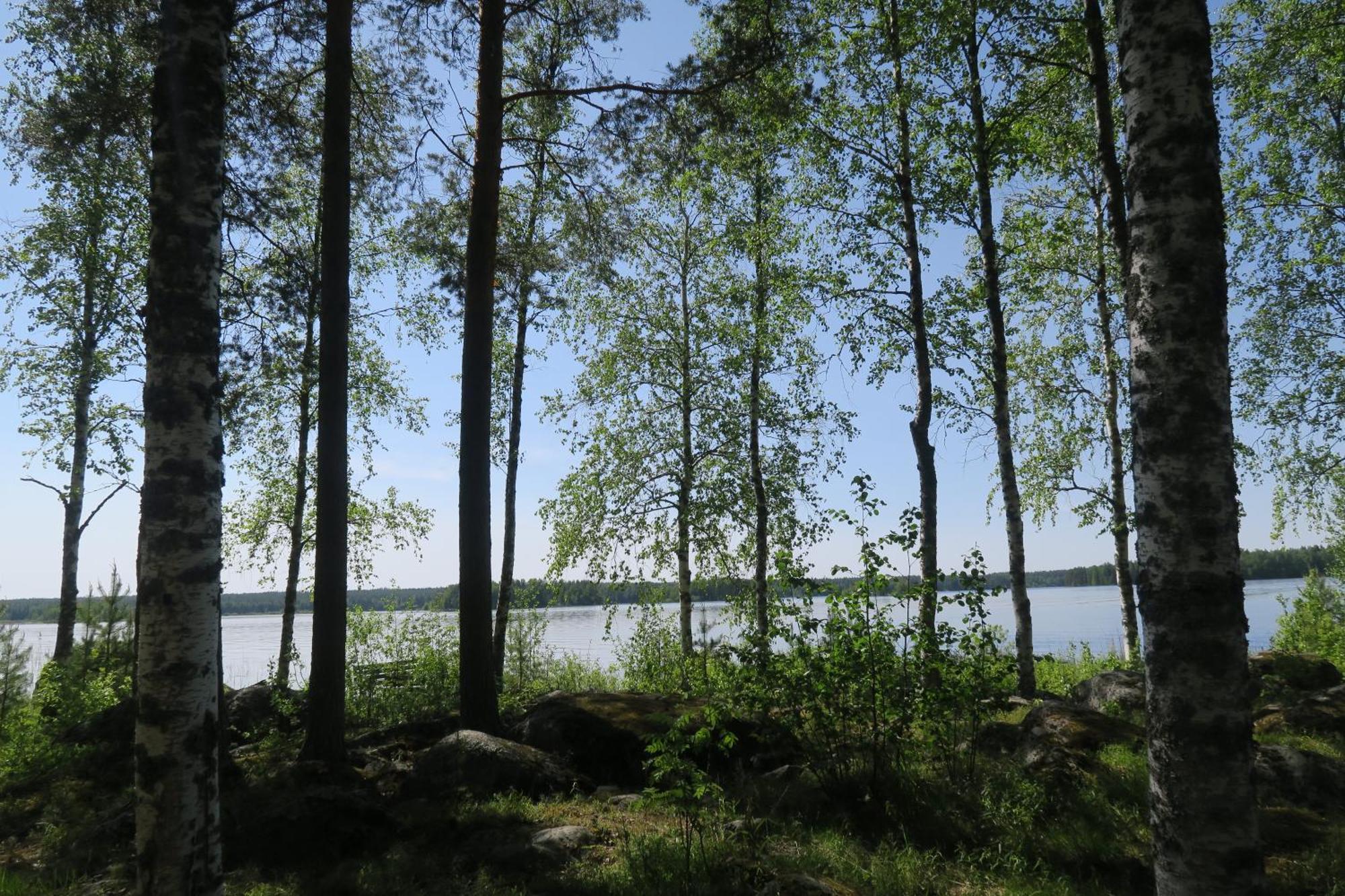 Marjoniemi Camping Hiidenniemi Ngoại thất bức ảnh